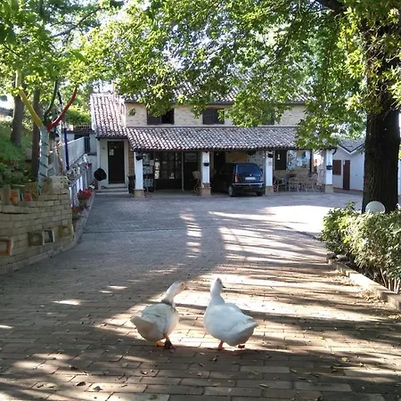 Agriturismo Casale Civetta Castel Colonna