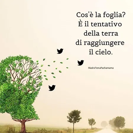 Agriturismo Casale Civetta