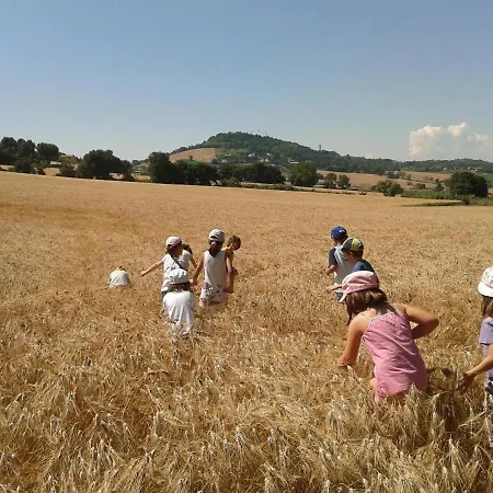 Agriturismo Casale Civetta מלון דירות Castel Colonna